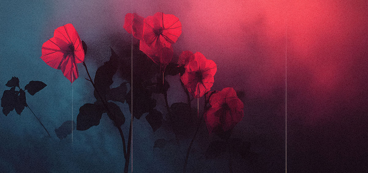 Echo's favorite flowers